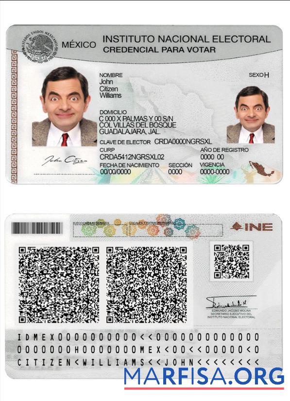 Printable Mexico instituto nacional electoral example